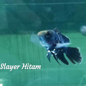slayer hitam